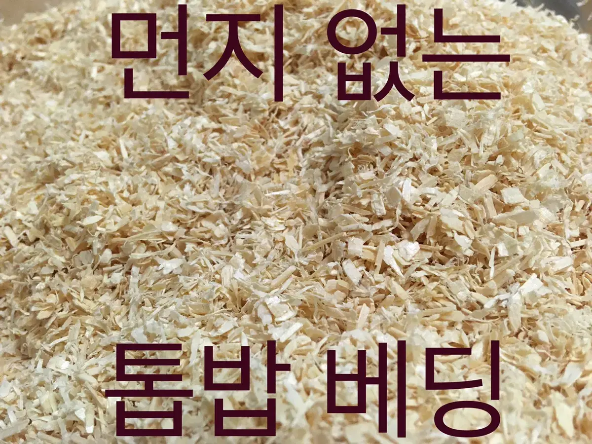 먼지없는 독일산 전나무 톱밥베딩(비압축)